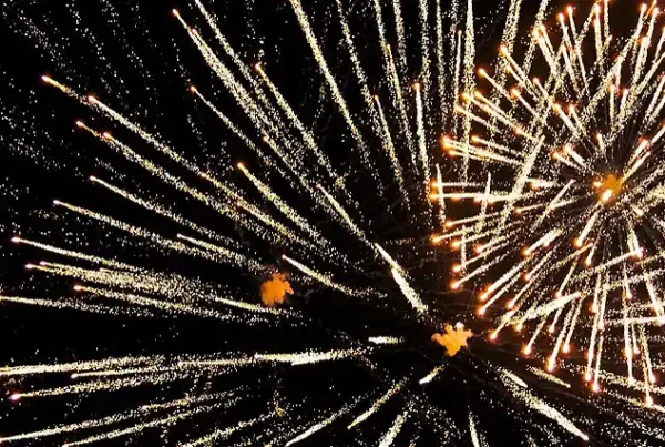 Blatchington Manor Residential Home - Seaford- East Sussex South Coast Nursing Homes Specialist Nursing & Residential Care across the South Coast