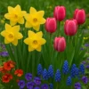 South Coast Nursing Homes Specialist Nursing & Residential Care across the South Coast